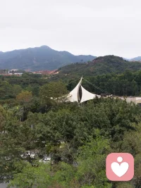 岁暮天寒，彤云酿雪。执一份简朴，守一份淡然。有喜有悲才是人生，有苦有甜才叫生活。轻轻走过冬日，愿每一个醒来的日子，都有阳光相伴，或许在晴空，或许在心中。配图