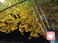 如何遠離心理上的傷害
①展示強大。人往往會去傷害一個對自己威脅小的事物，因為收益大于風險。展示強大就是讓對方投鼠忌器。面對老虎時，逃跑是最愚蠢的方法。逃跑等于把自己的弱點送給對方，正確的方法是面對危險，直視危險。盡最大的努力讓自己看起來強大，不好招惹。老虎看不清虛實，也會迷茫，也會疑惑。而往往未知就代表恐懼。真正孰強孰弱，要打上一場才知道。逃跑等死，勇敢面對不一定死。
②遠離傷害源如果做不到強大自己，那就離源頭遠一點。沒有買賣，就沒有傷害。惹不起我還躲得起。是遠離不是逃避，遠離是為了積蓄力量，強大自己。我給你傷害我的權力，但只有一次，因為沒有第二次。最后，不要懼怕傷害，不去傷害，也不被傷害。傷害是不可避免的，只要生存，就一定會受到傷害。就連呼吸，本身也是一種傷害。配圖