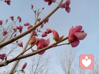 兩性相處，最忌諱什么，你知道嗎？
是提分手。
很多女人喜歡提分手，頻繁提分手，不過她并不是真的想分手，而是想通過這樣的方式，吸引男人的注意，想讓對方珍惜自己。
但是這種方式除了消耗彼此的感情和能量之外，沒有任何好處，女生在這段關系中期待太多，失去的自我太多，她的一切行為，都在降低自己在這段感情中的地位。
剛開始說分手，男人會很緊張，后來說分手，男人只會不耐煩。
不是男人絕情，而是女人太作。
分手這件事，除非是理性思考后的決定，否則一定不要提，男人女人都是如此，如果只是將它當做威脅對方的手段，那它只能是百害而無一利。配圖