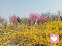 人性的弱點》性格太軟、討好型人格，建議瘋狂做這幾件事

性格軟并不是性格缺陷，它就是性格的一種。
如果你想要改變自己的討好型人格，其實就是在試圖走出自己的性格安全區。

這種蛻變并不是一件可以輕易做到的事，如果你想要走出這個安全區，就必須通過層層的掙扎，可能會面臨一些失敗，但只要你步步謹慎，通過不斷地反思，改進自己的行為，最終會取得成功。

在這里給出一點建議，性格太軟、討好型人格，建議瘋狂做這兩件事。

01：不做別人眼中的好人，脫離勞碌命

行動上：不做別人該做的事

不是為了幫同事做材料，在單位加班到深夜，就是奔波在七大姑八大姨的家中，幫忙處理他們的瑣事。

午夜驚醒，恍然發現自己被別人的事情纏身，每天忙忙碌碌，對于自己而言卻沒有任何的進步和正向的反饋。

終于有一天，在同事和家人眼中，成為了非常好說話的老好人，代價是沒完沒了地為他人而忙碌，一旦把事情搞砸了，就會得到劈頭蓋臉的批評和埋怨。
這個時候，也許你會討厭自己性格的軟弱。

這種總是以他人的喜好，來決定自己行為的討好型人格，讓自己很累，很疲憊，卻無法擁有別人的贊同和自己追求的快樂。
所以，必須要發生改變，作出改變最好的時機就是現在。從現在起，不做別人眼中的好人，不為別人的事勞碌奔波，便會擁有充足的時間來提升自己，取悅自己。
有時候，我們不必等到現實給自己沉重的打擊，然后再幡然醒悟。這樣雖然也能取得很好的結果，但過程中會產生很沉痛的傷害。

你只需要明白，每個人都有自己的責任，別人的責任與你無關。

02：接受自己被別人討厭，不做墻頭草
思想上：不趨炎附勢
擁有討好型人格的人，很難拒絕別人，常常為了得到對方的喜歡，而對別人言聽計從。
我們在生活中，也會遇到那些墻頭草一樣的人，不管是誰說了什么，都會得到他們的附和。趨炎附勢的做法得到的是別人更多的鄙視。

然而一個人的性格形成，就像一個人的習慣養成一樣，一旦定型就很難被改變，哪怕自己知道不對，也只能一錯再錯下去。
如果一個人，想要改變自己軟弱的討好型人格，告別自己墻頭草身份的第一步，就是認真找到自己內心真實的自我。

有些人，終其一生都無法看清真正的自己。

由此可見，這件事情的難度。

因為人總是善于欺騙，甚至欺騙自己，大腦也會分泌出能最大程度美化自己的激素，所以，一個人記憶中的自己，往往不是真實的自己。

真正的自己，在別人的眼配圖