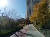 如果你感到焦慮，以下是一些可能有用的方法：

深呼吸：慢慢地深呼吸幾次，可以緩解緊張和焦慮。
放松身體：通過放松身體，如舒展肩膀、伸展身體，可以緩解身體的緊張和僵硬。
放松思維：通過冥想、想象放松的場景或使用放松音樂，可以緩解內心的焦慮和緊張。
改變思維方式：焦慮往往與負面思維有關，嘗試改變思維方式，關注積極的事物，可以緩解焦慮。
尋求支持：與親朋好友、專業人士或其他可以信任的人分享你的感受，他們可以提供幫助和支持。
尋找適當的壓力管理方式：例如運動、冥想、繪畫或其他愛好，可以幫助你放松和減輕壓力。
保持積極的生活態度：嘗試保持積極樂觀的態度，面對挑戰和困難，并尋找解決問題的方法。

如果焦慮感持續存在并影響到你的日常生活和工作，建議咨詢專業醫生或心理醫生尋求幫助。配圖