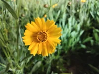 第三十六計:對癥下藥


分手后應該如何挽回？

首先我們要先分辨是真性分手還會假性分手，真性分手分別有：

1  預謀性分手
就是還沒和你在一起就已經預謀分手了，可能你只是個過度的備胎，可能 圖你的一些好處，這種分手挽回不了。

2  背叛性分手
你出軌了，挽回不了，女生出軌了，這種基本上你自己都不想挽回。

3  理智性分手
就是深思熟慮過后決定的分手，這種分手基本也挽回不了。 這三種分手，基本無力回天，你找誰都沒用。
那假性分手呢？分別有：

1  沖動型分手
一時沖動，生氣了，就要分手，這種很容易挽回。

2  缺點型分手
你在生活上的一些缺點，對方忍受不了，提出了分手。
3  第三者分手
這個不是背叛，而是第三者出現了，她被吸引了，想要和你分手后，然后 和第三者在一起。

這 3 種分手，基本上都是可以挽回的。

那應該怎么挽回呢？ 只需要 3 步：
第一步 緩兵之計

對方提出分手，不要直接答應，也不要直接拒絕，就跟她說：都在一起這么久了，說分手就分手，對彼此都不負責，我們都冷靜一個星期吧，給雙 方一個緩沖的時間，最后如果你決定還是要分手，那我們再分吧。

基本上你這樣說了之后，她都會答應你。

這個階段切記，千萬不要去死纏爛打，去祈求去跪舔對方，不然就會很掉 價，對方也會更加的反感你，那就更難挽回了。

退一萬步來說，即使你這樣做，讓你挽回成功了，你以后在她面前也抬不 起頭，我們不要為了某個人，而失去了自己。

第二步 重新做人

這一個星期，不要主動去聯系她，一個字都不要發給她，忍住。 這一個星期你要干嘛呢？重新做人！
去換個帥氣的發型，修理好你臉上的眉毛、鼻毛，以及其他的污垢，換一 身時尚帥氣的衣服，在形象上要完全的脫胎換骨。

這一步也是最關鍵的一步，你要重新吸引她，就得從形象開始，不管男女， 都是視覺動物。

第三步 對癥下藥

利用你的朋友圈，重新建立你的印象，這一步，你得從你們分手的原因出發。

如果是沖動型分手，那你就發一張你在看書的朋友圈，這本書剛好就是關 于情商或者溝通的。
佩文：真羨慕別人,能夠越吵越愛。
如果是因為她覺得你幼稚不成熟，你就發一張你在深夜工作的朋友圈。
佩文： 曾經的小男孩,在努力的成長。 讓她覺得你懂事了，成熟了。

如果是因為配圖