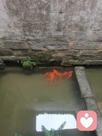 心情需要放松配圖