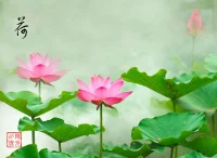 “生活里時(shí)刻都有挑戰(zhàn)，但是挑戰(zhàn)本身不會(huì)帶來(lái)痛苦，自我戰(zhàn)斗引發(fā)的內(nèi)耗才是痛苦的根源。”

一位公司一把手來(lái)訪說(shuō)，近來(lái)和上下級(jí)關(guān)系不協(xié)調(diào)，工作不順利，自己很內(nèi)耗。下屬不愿動(dòng)腦筋，撥一撥動(dòng)一動(dòng)；副手表面合作，背地使壞；上級(jí)要求不能躺平，必須卷起來(lái)。自己年輕時(shí)在業(yè)務(wù)一線拼搏，現(xiàn)在好不容易到了不是業(yè)務(wù)條線的公司，更到了管理層，怎么越來(lái)越焦躁，完全不是自己當(dāng)初的設(shè)想。

在之后的交流中，我們一起往回探查他當(dāng)初的設(shè)想是什么，現(xiàn)在發(fā)生的事情為何讓他焦慮了，這期間他還是原來(lái)的那個(gè)他嗎？為何會(huì)被裹挾呢？

還是圍繞認(rèn)知、情緒、行為，以及自我內(nèi)耗上，交流探討了短短的30分鐘。能夠讓來(lái)訪的情緒從之前的焦躁不安到最后的平緩穩(wěn)定，更有目標(biāo)和方向感，我想自己的工作還是有價(jià)值的。配圖