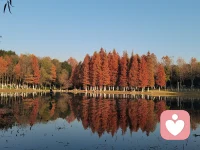 弗洛伊德講過：“未被表達的情緒永遠不會消失，它們只是被活埋了，有朝一日會以更丑陋的方式爆發(fā)出來。” 很多時候你的情緒是用來保護你的，它不需要被壓抑，它需要被合理的表達，被看見和懂得…配圖