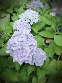 普通生活中的一些美好，讓人心情棒棒噠配圖