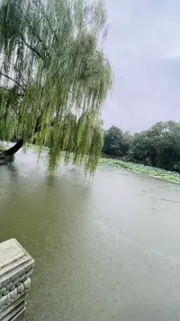 “愿我們足夠堅定，足夠獨立，內(nèi)心的力量足夠愛自己，也有余力愛他人…”七夕快樂，愿天下有情人終成眷屬配圖