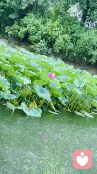 無數的女人把你想男人管男人的時間拿來學習成長，你的人生將是另外一個境界[勝利][勝利]好好學習天天向上，好好工作天天向善，好好生活天天向美。
?配圖
