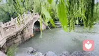 點一盞心燈，為自己！
柏拉圖說：認識自己，方能認識人生。
在困境中，抬頭仰望星空，才能走出低谷；在輝煌的時候，退一步沉淀，才能悠閑自在。配圖