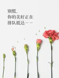 别慌，做好自己，你想要的都在路上…