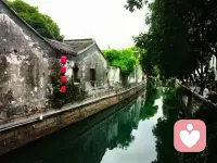 當我們對一個人或一件事在意的時候，心就會被牽動，越在意越被牽動！配圖