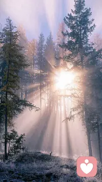 人在某個時期有一些困擾，這個特殊的時期其實需要的是一種指引，來告訴我們自己身上正在發(fā)生什么、接下來可能發(fā)生的又是什么，以及如何來度過它，這就是為什么要尋求心理咨詢的幫助。配圖