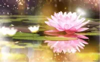 你有故事娓娓道來，我安在靜靜傾聽
融入你的故事，感受你的心情
陪伴你慢慢打開心門
沉悶、不安、煩躁、悲傷、委屈慢慢被訴說
去除陰霾，心的空間慢慢被光照亮
許你溫暖的，愿你內心放松、舒坦配圖