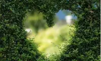 倘若愛不可能有對等，
愿我是愛的更多的那人......

If equal effection cannot be,
Let the more loving one be me.[玫瑰][愛心]配圖
