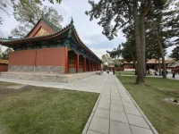 小不理解父母們旅游為什么喜歡看風(fēng)景，
現(xiàn)在我也到了開始喜歡花花草草的年紀(jì)嗎？配圖