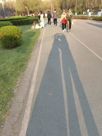 小不理解父母們旅游為什么喜歡看風(fēng)景，
現(xiàn)在我也到了開始喜歡花花草草的年紀(jì)嗎？配圖