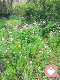 每個孩子出生時都是天真無邪的，為什么長著長著就變了，是我們給了她們一個什么樣的土壤和信念，值得我們深思……配圖