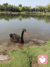 你如何過好當下這一天，就如何過好這一輩子，因為未來是有每個當下組成的！配圖