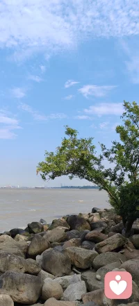 美國心理學家威拉德·哈利提出：伴侶之間有“情感賬戶”，讓對方開心感動，是向賬戶存款。經常存款，就算出現問題，伴侶也會諒解；經常透支，寒了人心，芝麻小事也會導致分手。結婚是愛情的升級版，是合伙的起點，不是躺平的終點。如果條件受限，無法投入錢物等有形資產，可以在關愛、勤勞、忠誠等無形資產上面彌補。給不了生活上的富足感，就要給足精神上的陪伴感。主動平衡感情的蹺蹺板，讓伴侶看到真心，感到溫暖，相信未來。若以為結婚就是“車到碼頭船靠岸”，停止存款，最終會導致拆股散伙。配圖