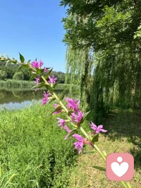 人生看似簡單，卻承載著太多的情非得已，生活看似容易，卻讓人身不由己，誰心里沒點故事，只是學會了控制。早配圖