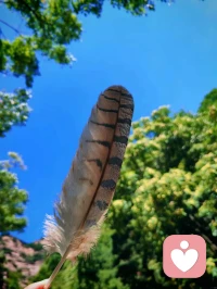 沉下心來(lái)不斷磨煉自己，永遠(yuǎn)比仰望別人更有意義。新的一周，愿你我都能不懼挑戰(zhàn)、繼續(xù)攀登。早安！[抱拳]配圖
