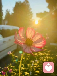 ??????????世上沒(méi)有十全十美的人，也無(wú)法讓眾人都喜歡你。流言蜚語(yǔ)，別在意，指點(diǎn)議論，充耳不聞。別人怎么看隨他們?nèi)ィ粍e人說(shuō)什么當(dāng)成空氣。把時(shí)間精力用在讓你開(kāi)心的地方。要和讓你舒服的人相處，無(wú)論你經(jīng)歷過(guò)什么，都別放在心里，全都清零。生活在繼續(xù)，別因過(guò)往的不悅，影響心情；別因從前的挫折，荒廢余生。善待自己，樂(lè)觀(guān)生活，人生才會(huì)越來(lái)越好！
       早上好！[握手][握手][握手][擁抱][擁抱][合十][合十][合十]配圖