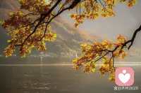 今日早讀
楊絳先生說：“當你看過世界，見過眾生，才發現你要見的世面，是自己內心的勇敢和自信；當你看過四季，見過風云，才發現你要見的美景，是自己內心的淡定與從容。”
“人生須臾，不過爾爾，”簡單美好的日子最稱心。
正如蘇軾所云：“慢品人間煙火色，閑觀萬事歲月長。”
當你看過山河遠闊，聽過雨落荷塘，才知道最愛的還是人間煙火。配圖