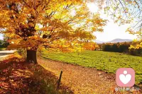 ??????高飛之鳥亡于貪食，深潭之魚死于香餌。心計存于胸中，則純白不備。為人處世，唯有保持一份真誠之心，光明磊落，方能行得坦蕩。人有不為也，然后可以有為也，時刻都有克制自己的能力，在言語上克制自己，說話有分寸，方能與人相處和睦。在內心有所敬畏，做事守底線，人生才不會偏軌，往后余生都能約束自身，如此才能遠離是非煩擾，活出自在舒心。
     早上好！[握手][握手][握手][擁抱][擁抱][合十][合十][合十]配圖