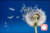 從玄學上來說，不用刻意去斷掉一段關系，緣分未盡斷不了。
其實大家都沒有必要去糾結要不要斷掉某一段關系，因為看似是你在選擇，其實都是命中注定的。
如果這段緣分未盡，你是結束不了的，盡管你的心里再想斷掉，你會發(fā)現(xiàn)你就是做不到，因為你的能量還不夠。
當有一天你的內心開始強大，你的能量越來越足，你生命中那些和你不匹配的人總是他們都會自動遠離你，所以不用著急，愛自由。配圖