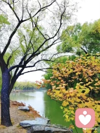 ?????????人生沒有十分的幸福，但有知足的快樂。細品生活，靜觀日月，以平常心度日，以歡喜心打磨人生。多與心相處，少與人糾纏。在暖暖的心里留了念想。縱使一路風(fēng)雨，也能一生安然；縱使一路浮沉，也必一生安好。問候就像快遞，風(fēng)雨無阻，發(fā)者盡心，收者歡喜。沒有千言萬語，只有真心實意。愿你四季安康，事事如意！
      早上好！[握手][握手][握手][擁抱][擁抱][合十][合十][合十]配圖