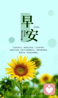 ?????????人，各有各的位置，各有各的價值，各有各的理念，各有各的世界觀，各有各的人生觀，各有各的價值觀。不隨意苛求別人，不盲目要求自己，保持善良，做到真誠，寬容待別人，嚴以律自己。得與失，成和敗，聚或散，都是人生的一種成長，看淡，心情才好，看開，日子才美。
     早上好！[握手][握手][握手][擁抱][擁抱][合十][合十][合十]配圖