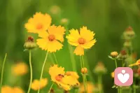 恰如汪曾祺在《慢煮生活》中所写：
“我以为，最美的日子，当是晨起侍花，闲来煮茶，阳光下打盹，细雨中漫步，夜灯下读书，在这清浅时光里，一手烟火一手诗意，任窗外花开花落，云来云往，自是余味无尽，万般惬意。”配图