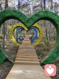 ^_^ 樹樹皆秋色，山山唯落暉，落葉之秋，微風(fēng)徐來，所有美好，不期而至……
^_^ 只有一個人能界定你一生的成就，那就是你自己。
^_^ 少年自當(dāng)扶搖上，攬星銜月逐日光，你只管去劈浪，與眾生爭鋒芒。你舉步是八萬里寬廣。
你眼望是千江拍白浪。你平生的這趟啊，要讓旁人想都不敢想……配圖