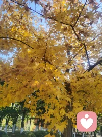 ^_^忍耐是痛苦的，但它的結果是甜蜜的。
^_^ 要對過去無限溫柔，要把未來布滿光亮，自己內心永遠有夢，那是屬于我的山川湖海。
^_^ 你是笑著的，世界就洋溢著微笑；你是樂觀的，未來就充滿著希望！配圖