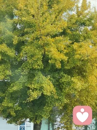 ^_^ 沒有太晚的開始，不如就從今天行動。生活，從不虧待每一個努力向上的人！
^_^ 你所看到的驚艷，都曾經被平庸所歷練。
^_^ 如果生活將你置于低谷，也一定給你留了上坡的路。生活會變好的，你相信什么，什么就會到來……配圖