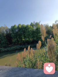 人只有徹底了解自己，才有能力面對困境，也只有足夠自信，才能徹底擺脫刻意討好和自我否定。
生命中80%的煩惱來源于對自我的否定，要相信每個人都是自己的拯救者！配圖