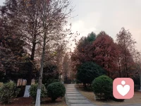 你以为你在过渡，其实这就是一生！！配图