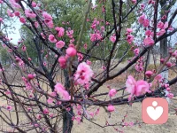 人生是场必胜局，所有打不倒你的都将使你更强大！