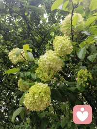 我们以为真实敞开会失去幸福，其实不幸福源于不真实。
你不可能在谎言和面具中遇见幸福。——然雅