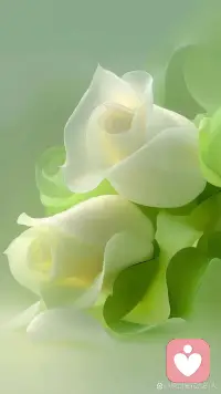 请你大胆地往前走，走到灯火通明，走到苦尽甘来，走进春暖花开。陆游说，山穷水尽疑无路，柳暗花明又一村。你要始终相信，黑暗到一定程度，星辰就会熠熠生辉。当你身体扛不住的时候，意志会带你杀出重围。山有顶峰，湖有彼岸，人生路漫漫，请你一定要相信，万物皆有回甘。配图