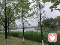 要理解变化的意义，唯一的方法就是投入其中，一同前行，与之共舞。——艾伦.瓦茨配图