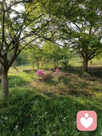 人是经常要用自己的行动来造成某种气氛，再用这样的气氛来维持自己的某种心理态势的。所以有心里支撑力的人，也是善于不断行动的人。配图