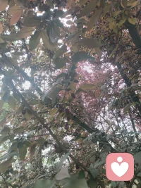 说到底，生活本身就是一种心情。幸福并不取决于你拥有什么，你是谁，你在何处，或者你在做什么事。决定你是否幸福的关键，在于你咋么想。幸福从善待自己的心灵开始。配图