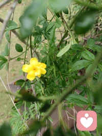 得先有生活，才能有精神生活。——《万物边缘》配图