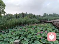 同样的问题一直出现，你自身就是最大的问题。
命运会反复抛出同一个问题，直到你给出不同的答案。