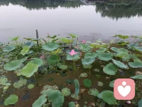 不要用你的能量去担心，用你的能量去相信、创造、成长、闪耀、实现和治愈。