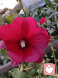 人在精神上受的伤， 这辈子都补不回来，就像人间失格里说的，即使你此刻再快乐，只要一想到某些瞬间，心情就会立刻暗下来，再多的光也照不亮………