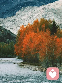 有些人習(xí)慣用攻擊和挑剔來(lái)表達(dá)親密，他想要的其實(shí)是親密，如果你能穩(wěn)住，直接和他親密，那么他的攻擊就會(huì)失去作用，他和你的相處方式就會(huì)發(fā)生改變配圖