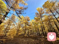 一滴水，只有融入大海，才能永不干涸。一個人，只有看到自己的固守，愿意放下防御打開心扉，才能消弭自我設(shè)限，享受到萬事萬物的滋養(yǎng)。
而這個看見和愿意，或許需要一輩子的時(shí)間去學(xué)習(xí)踐行。配圖