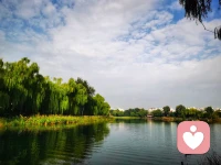 表達即療愈。
在不斷訴說中，存在和死亡的意象都會有變化。允許言語化，就是很大的關愛和進步配圖